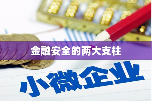 万柏林金融安全的两大支柱