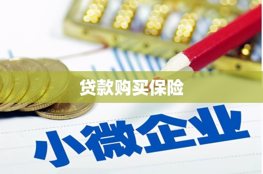 万柏林贷款购买保险